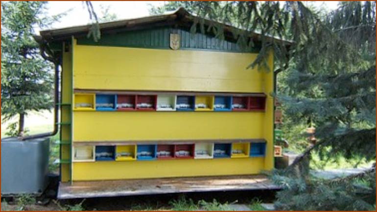 Bienenhaus