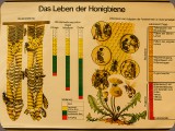 Lerntafeln zur Information